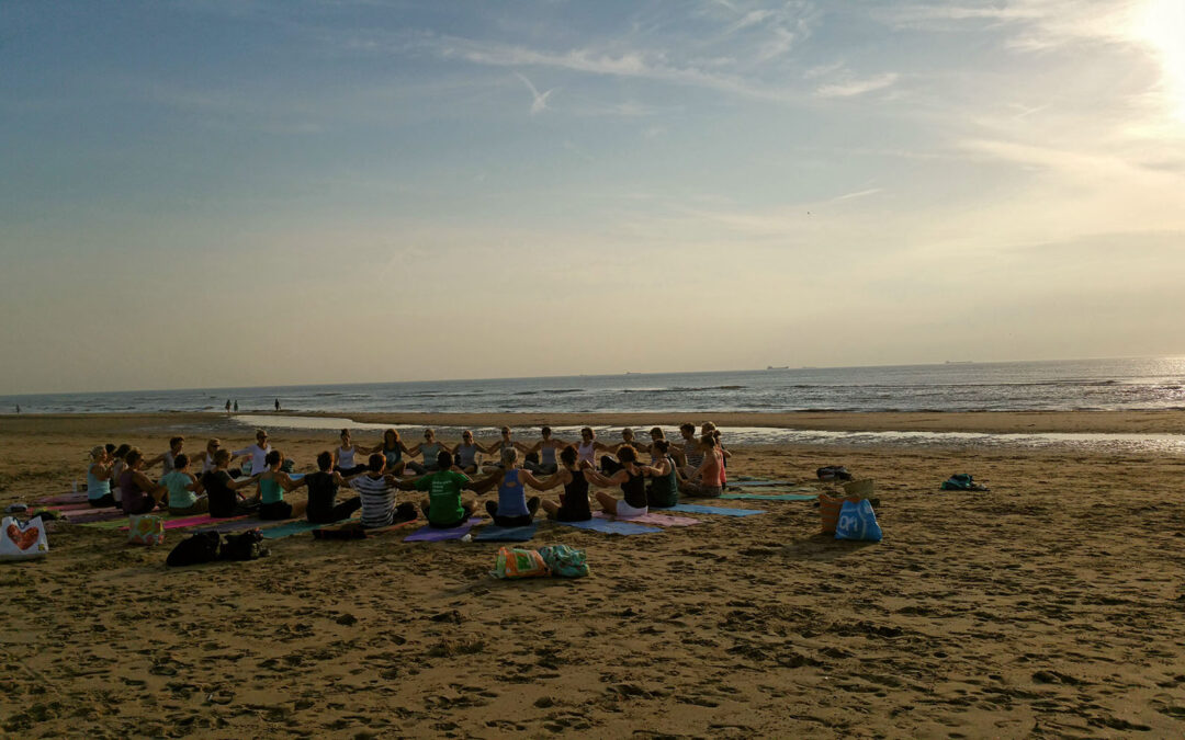 Terugblik & vooruitblik – zomer 2024 & 2025