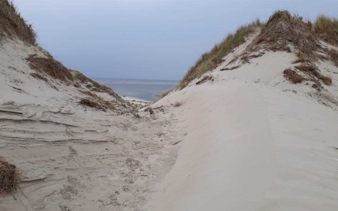 Walk of grief op Terschelling